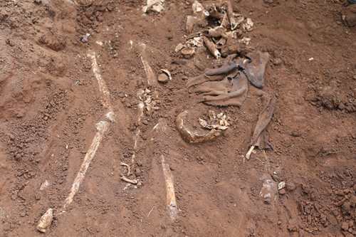 Muramvya: les images prises lors des exhumations des fosses communes en bas de la prison centrale
